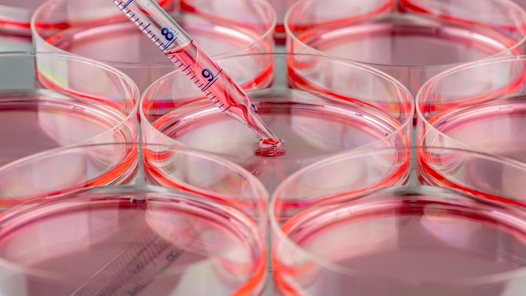 Syringe filter 0.22 µm, 33 mm / triple bagged