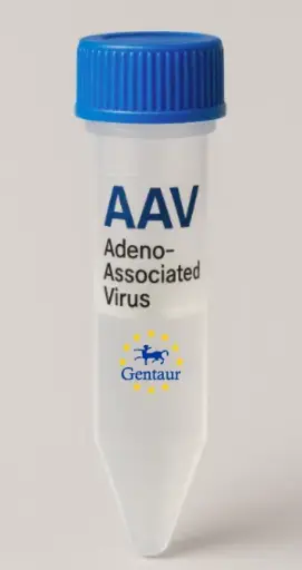[MA-945] CHRNA1 AAV Vector (Mouse) (CMV)
