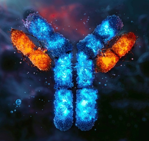 Human Cadherin- 18, CDH18 ELISA KIT - 96tests